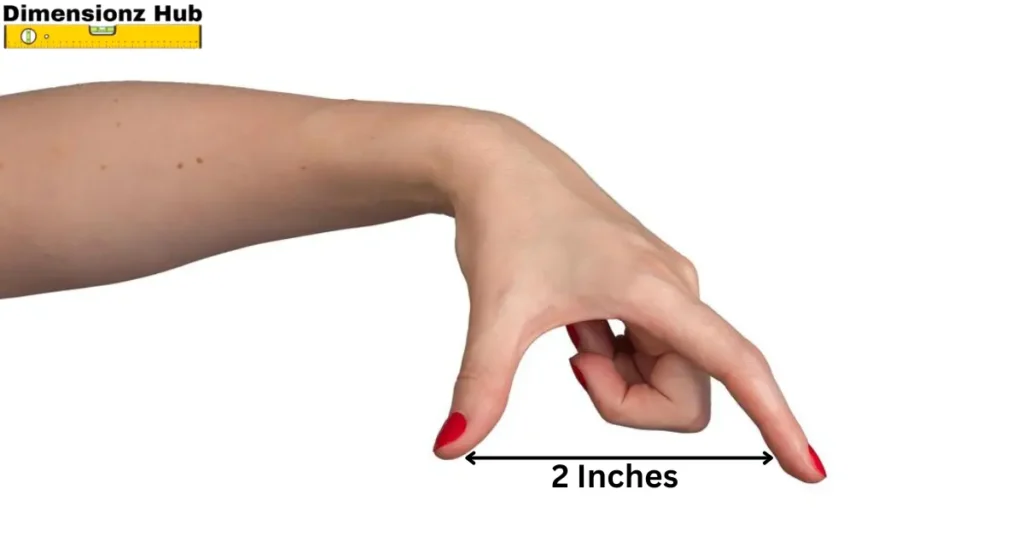 how long is 2 inches