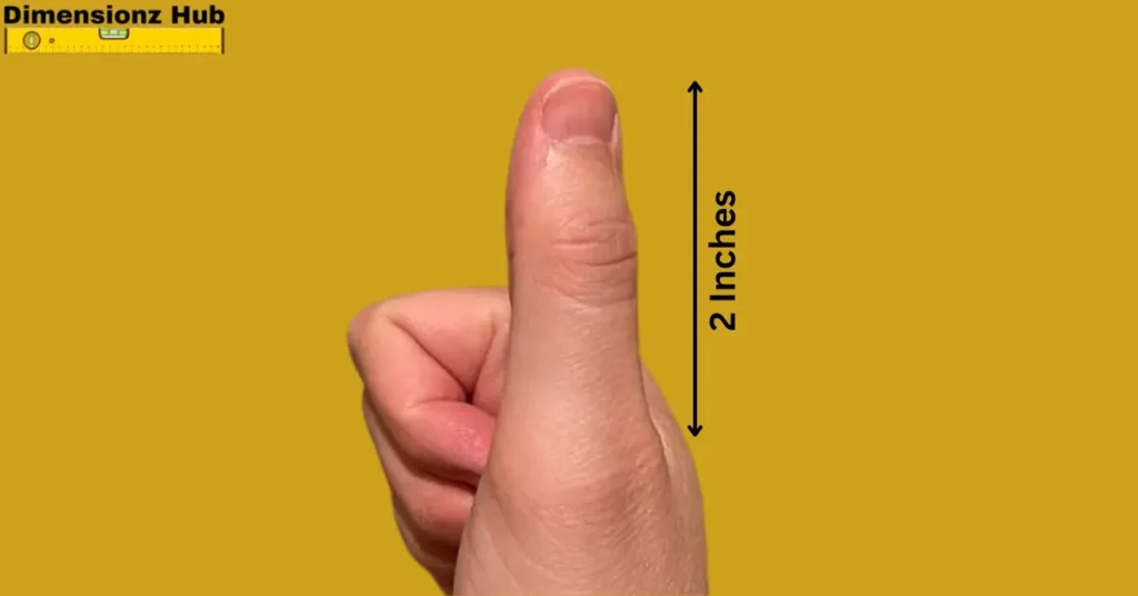 how long is 2 inches