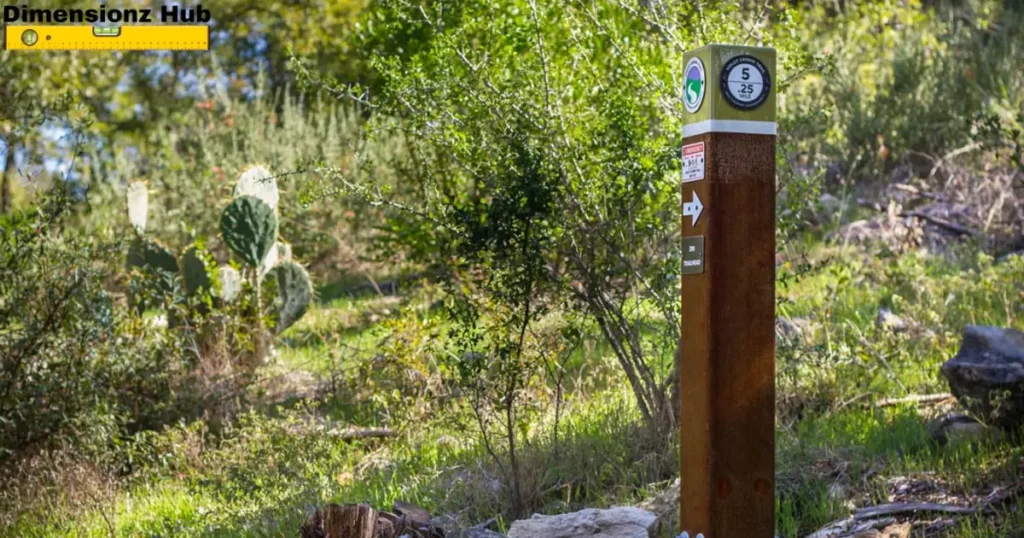 how long is 300 feet