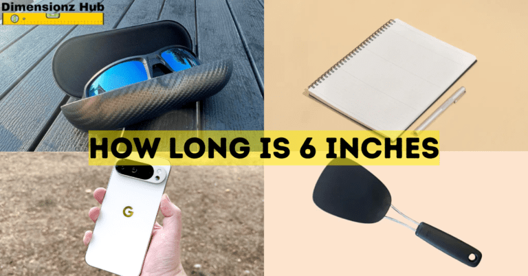 how long is 6 inches