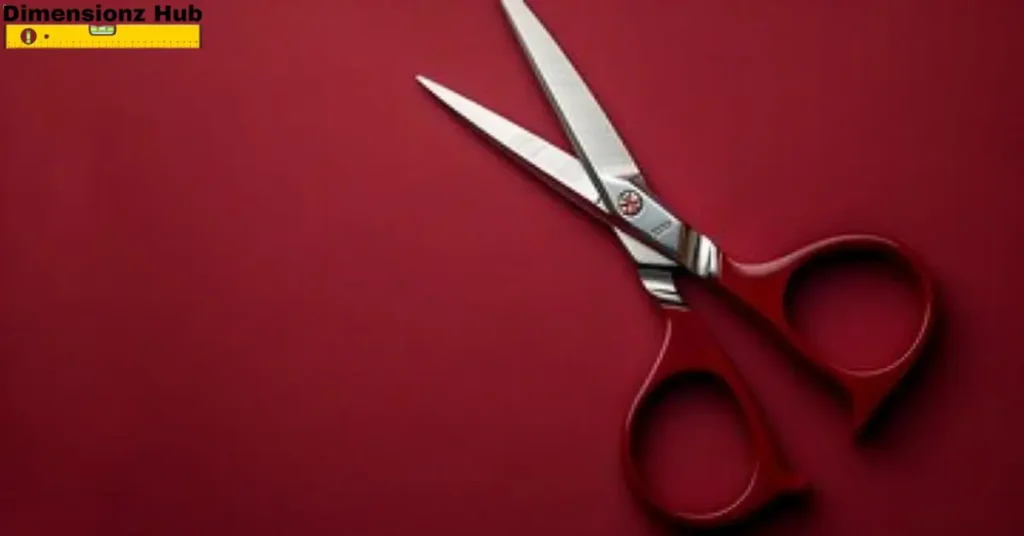 how long is 6 inches