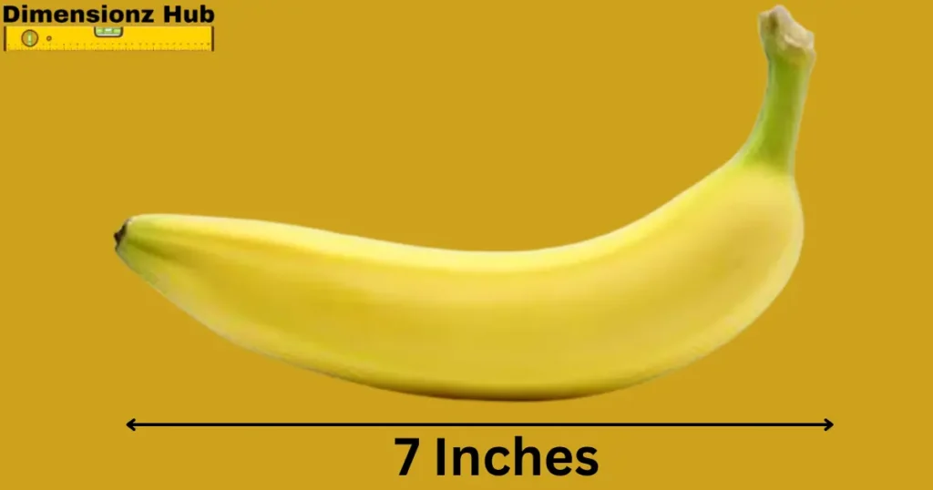 how long is 7 inches