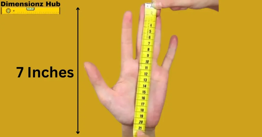 how long is 7 inches