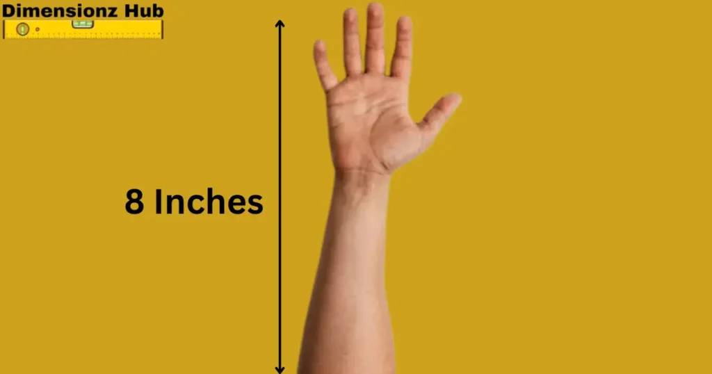 how long is 8 inches

