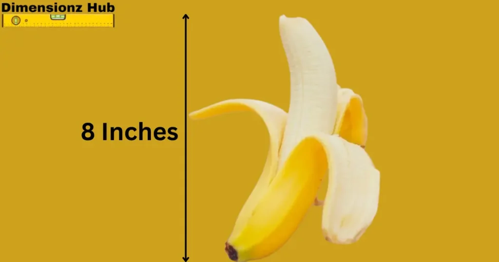 how long is 8 inches