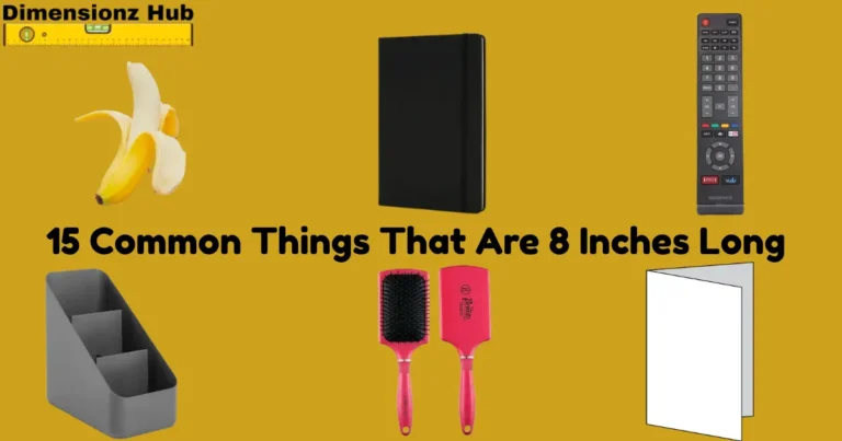 how long is 8 inches