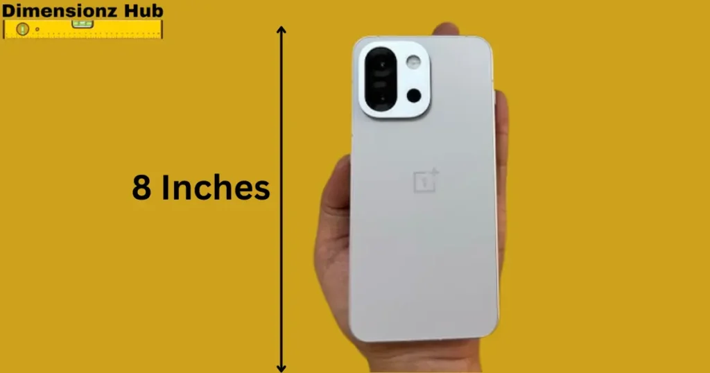 how long is 8 inches

