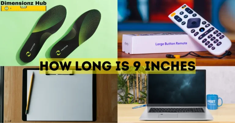 how long is 9 inches