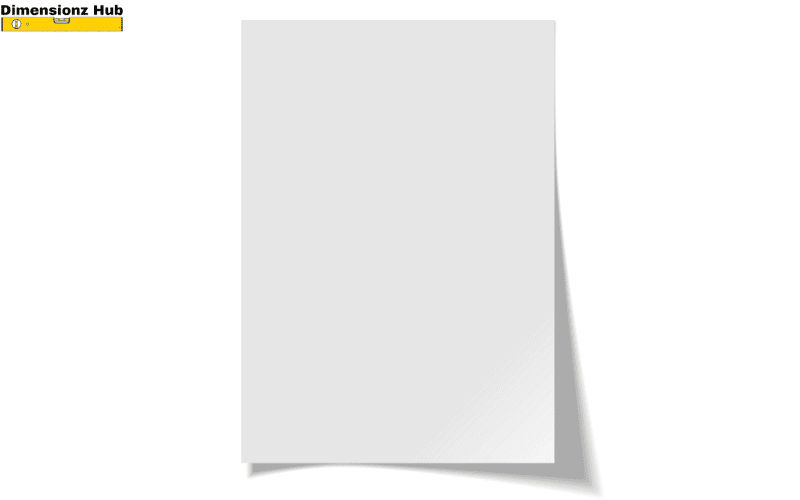 how long is 11 inches