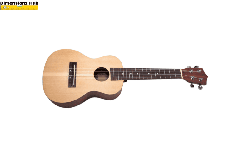 how long is 11 inches