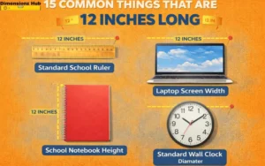 how long is 12 inches