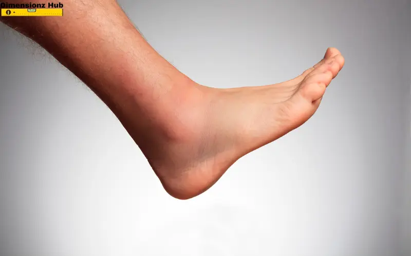 how long is 12 inches