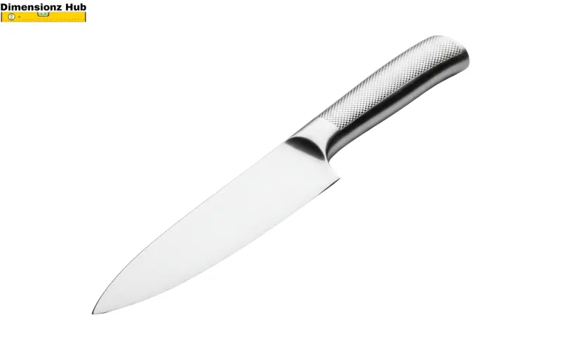 how long is 12 inches