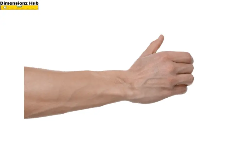 how long is 16 inches