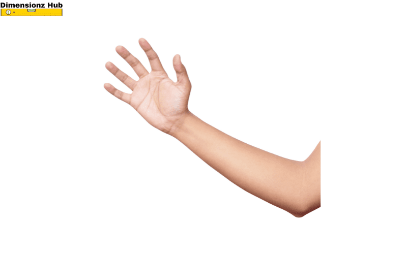 how long is 17 inches