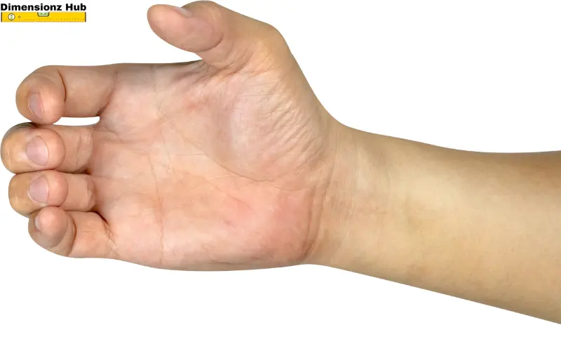 how long is 5 inches