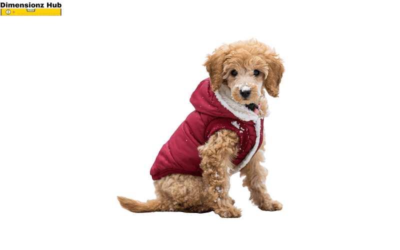 how long is 20 inches