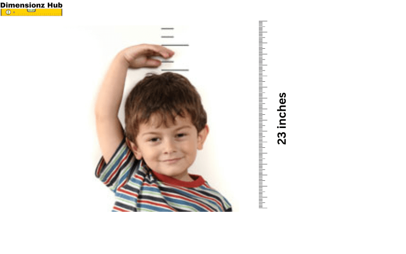 how long is 23 inches