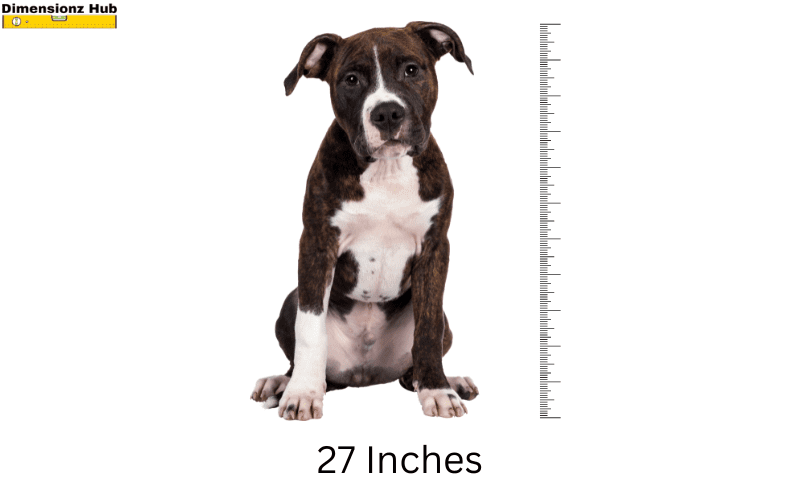 how long is 27 inches 