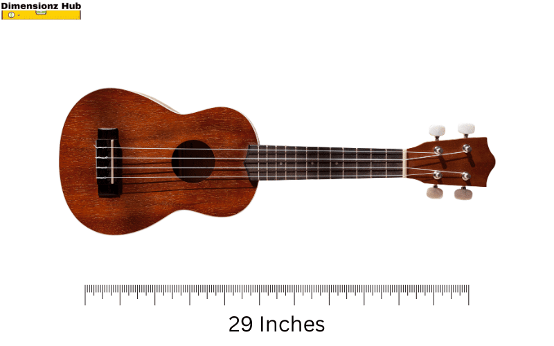 how long is 29 inches