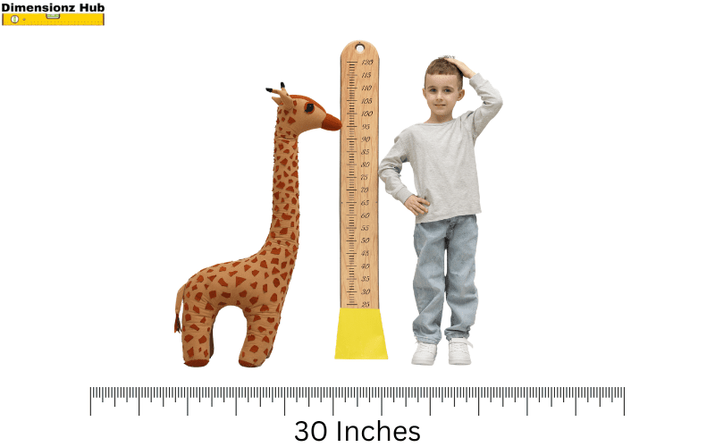 how long is 30 inches