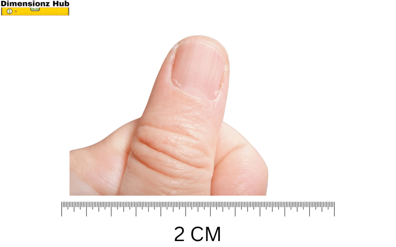 how big is 2 cm
