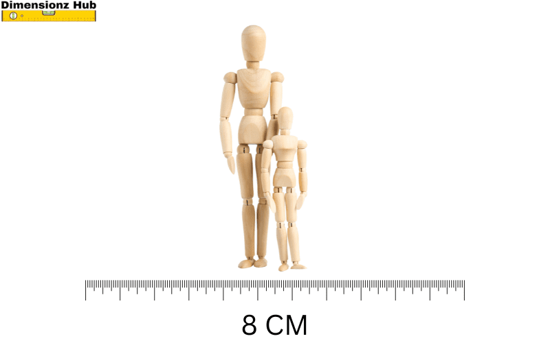 how big is 8 cm