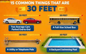 how long is 30 feet