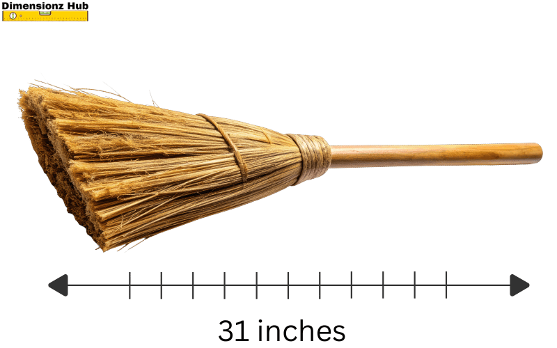 how long is 31 inches