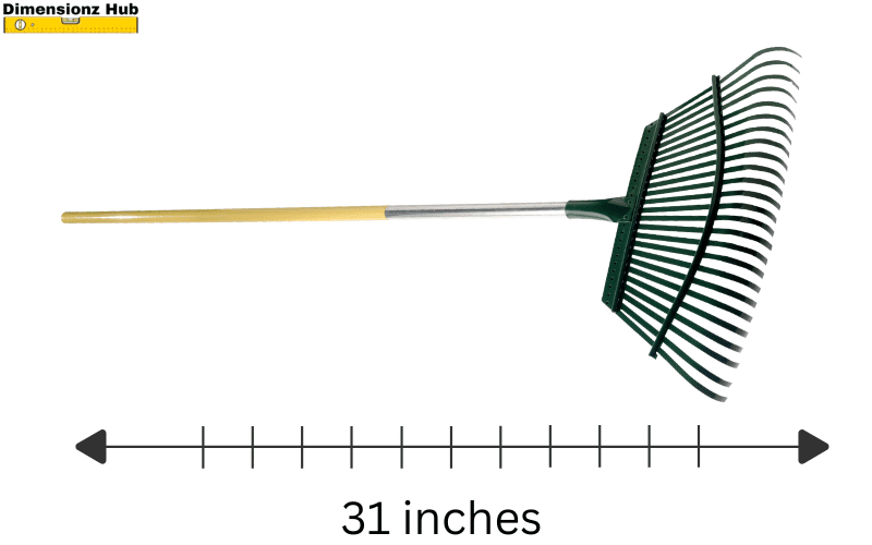 how long is 31 inches