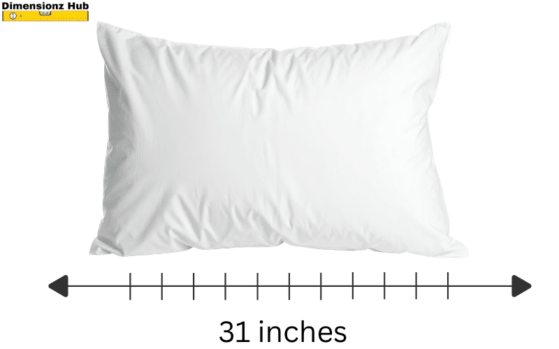 how long is 31 inches