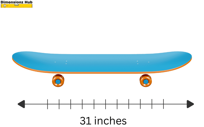 how long is 31 inches