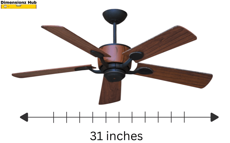 how long is 31 inches