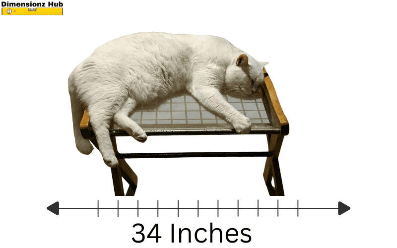 how long is 34 inches
