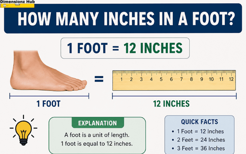 how many inches in a foot