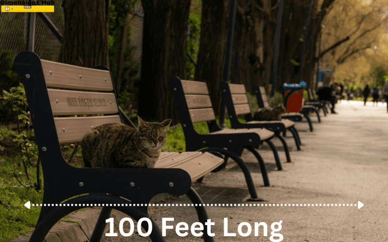 how long is 100 feet