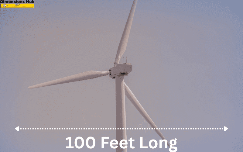 how long is 100 feet