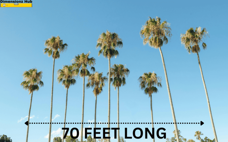 how long is 70 feet