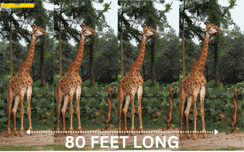 how long is 80 feet