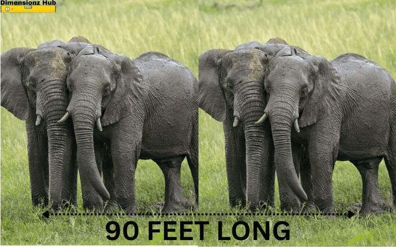 how long is 90 feet