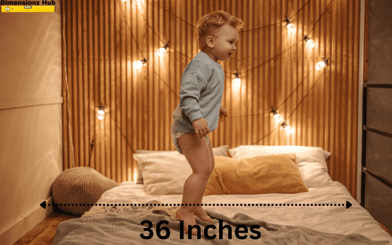 how long is 36 inches