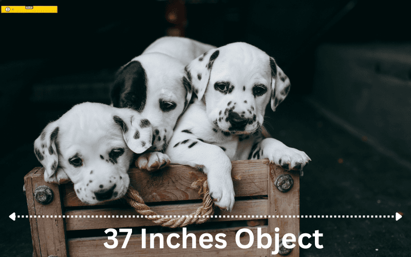 how long is 37 inches