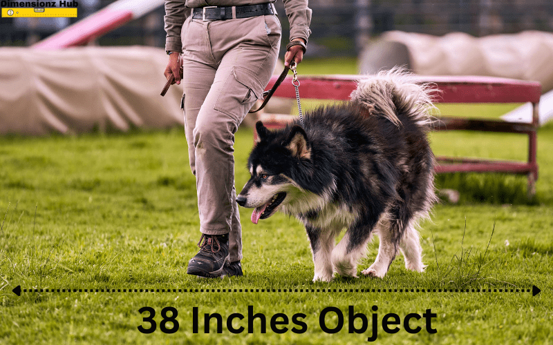 how long is 38 inches