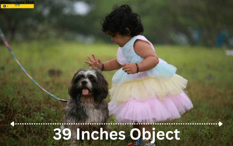 how long is 39 inches